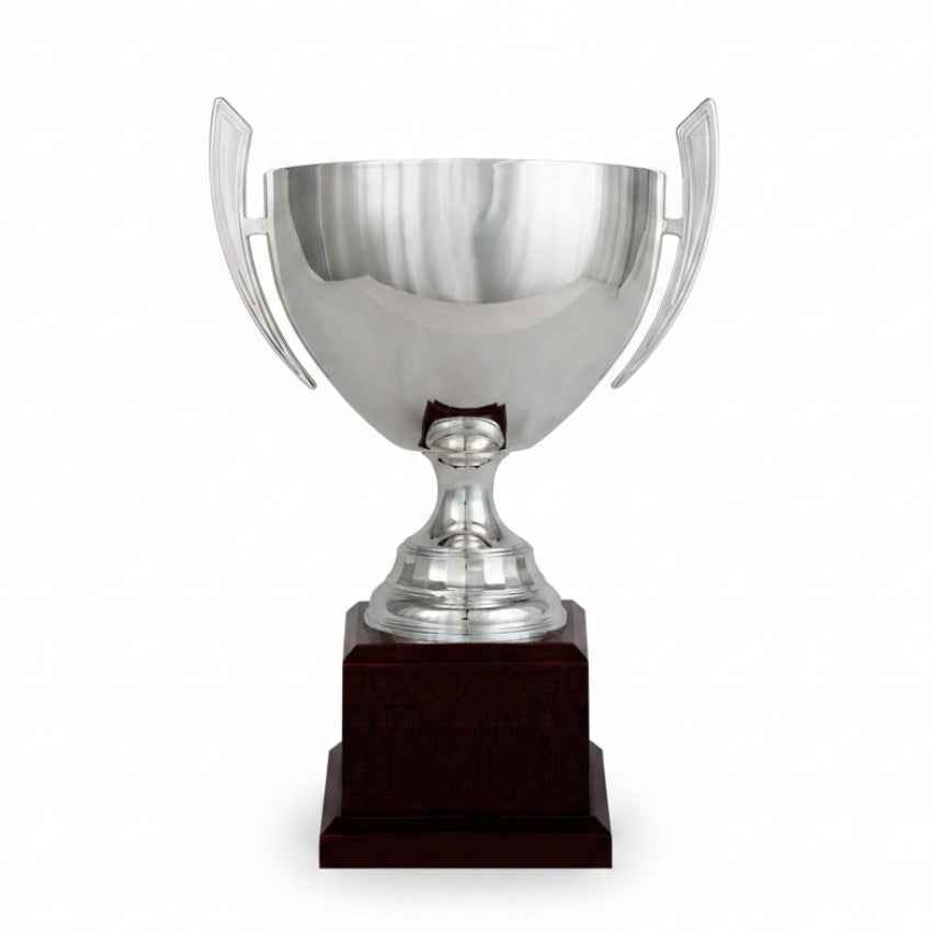 Copa Plateada Lisa de Boca Ancha