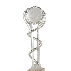 Trofeo Figura Plateada con Aro Decorativo sobre Peana de Mármol-detalle