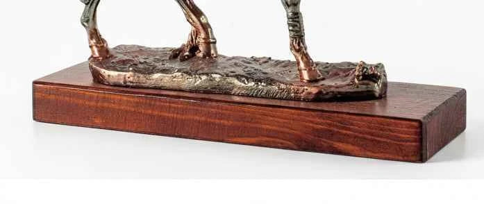 Trofeo Hípica Caballo Completo