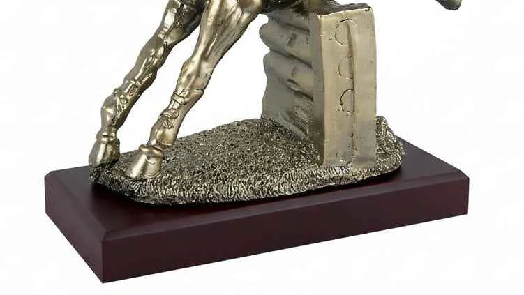 Trofeo Hípica Jinete Caballo