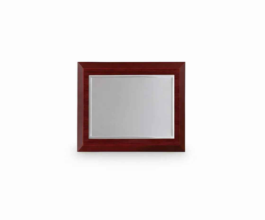 Placa conmemorativa aluminio rectangular lisa