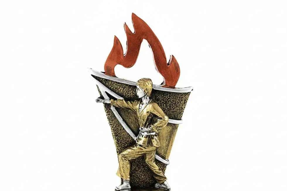 Trofeo Karate con Llamas