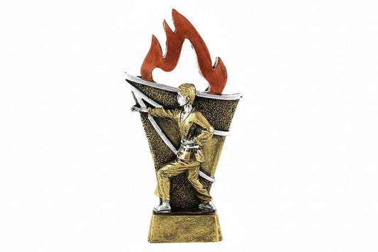 Trofeo Karate con Llamas