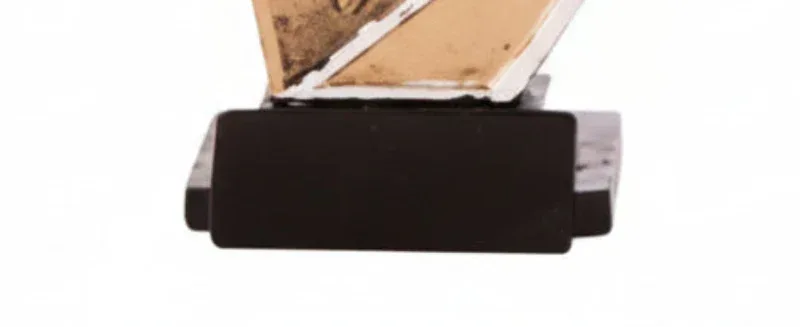 Trofeo Pesca Benavente en Resina - TROFEOS ROBLES 