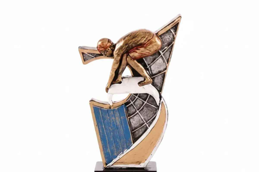 Trofeo Natación Benavente en Resina