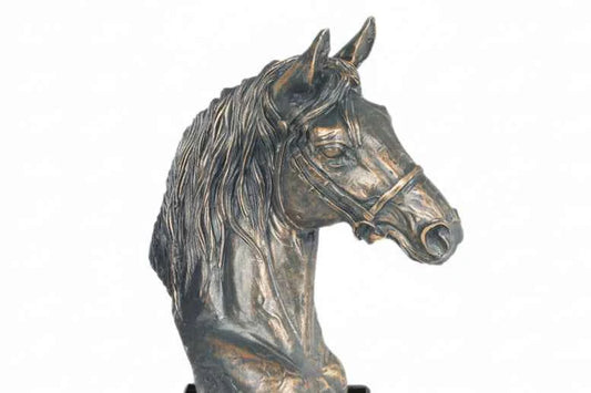 Trofeo Hípica Busto Caballo
