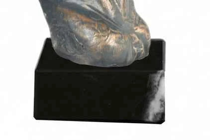 Trofeo Hípica Busto Caballo