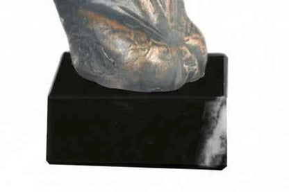 Trofeo Hípica Busto Caballo