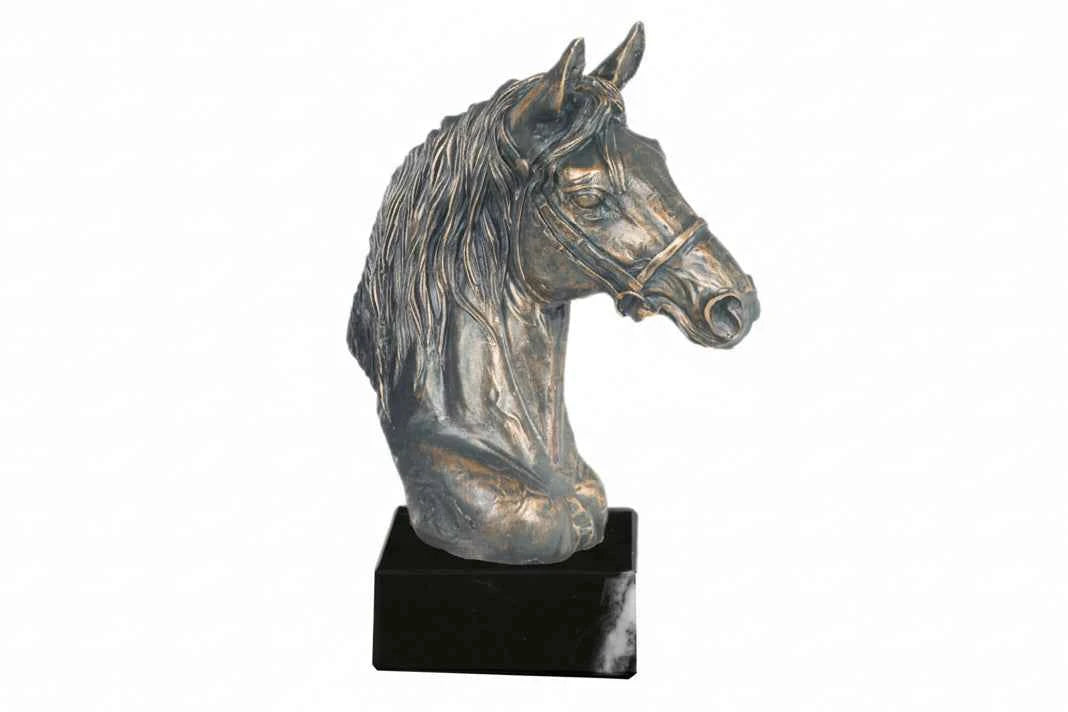 Trofeo Hípica Busto Caballo