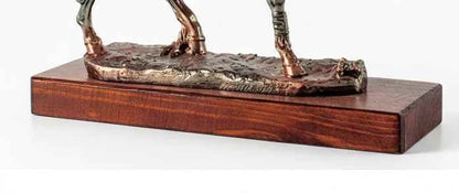 Trofeo Hípica Caballo Completo