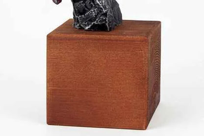 Trofeo Hípica Caballo Crines