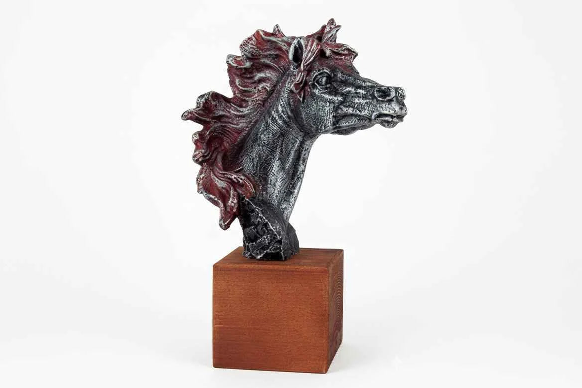 Trofeo Hípica Caballo Crines