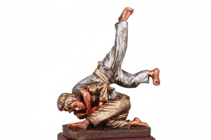 Trofeo Judo Proyeccion-detalle