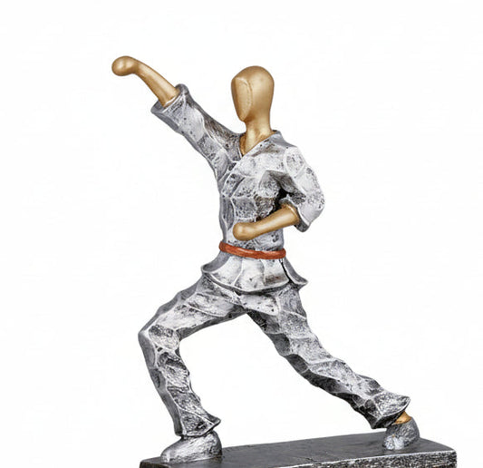 Trofeo Karate-detalle