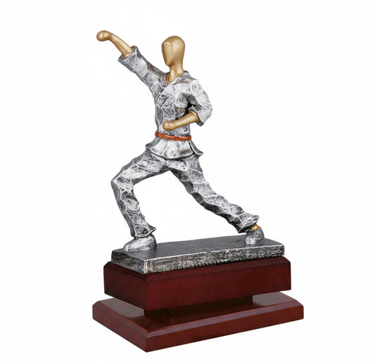 Trofeo Karate-Trofeos Robles