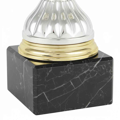 Copa Royale Dorada y Plateada - Participación