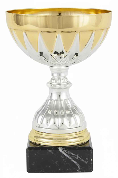 Copa Royale Dorada y Plateada - Participación