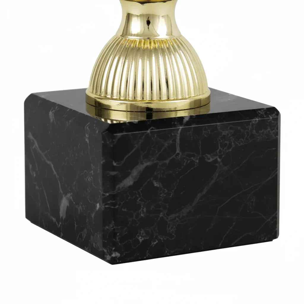 Trofeo Copa Victoria Dorada con Asas Elegantes - Participación