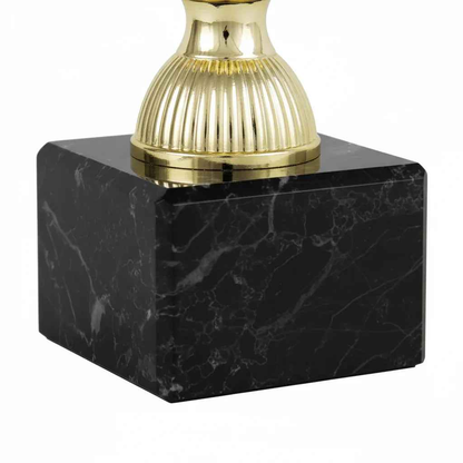 Trofeo Copa Victoria Dorada con Asas Elegantes - Participación