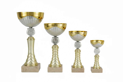 Copa Bicolor Dorada y Plateada Diseño Chevron