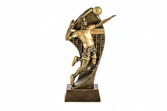 Trofeos Voleibol dorado-2